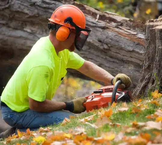 tree services Barnesville